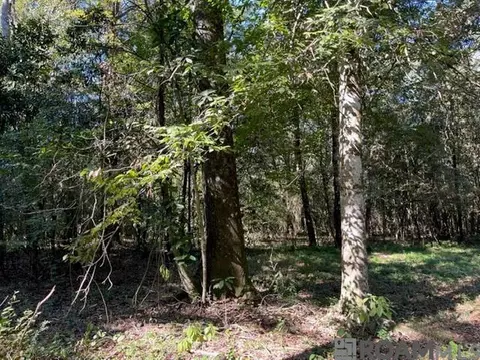 01 Lillian Ln, Ethel, LA 70730