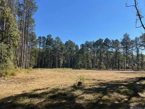 lot50 Burkett Ln, Denham Springs, LA 70706