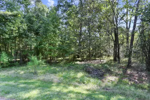 14042 Dogwood Trce, Saint Francisville, LA 70775