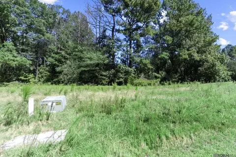 13803 Wood Duck, Saint Francisville, LA 70775