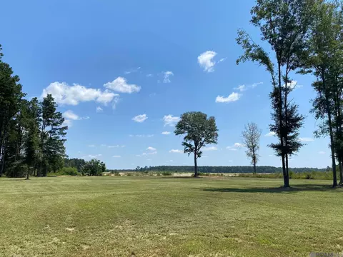 lot19 Nesom Rd, Denham Springs, LA 70706