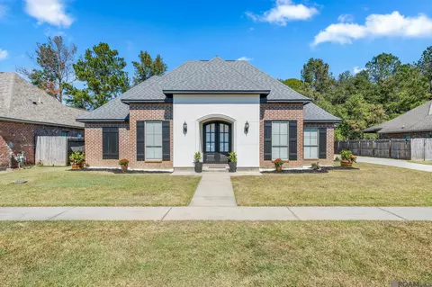 12741 Ruby Lake Dr, Walker, LA 70785 photo 1
