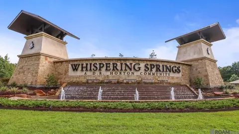 34858 Spring Trails Dr, Walker, LA 70785 photo 24