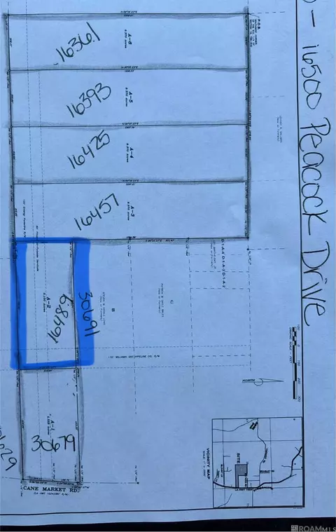 16489 Peacock Dr, Walker, LA 70785 photo 2