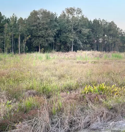 16489 Peacock Dr, Walker, LA 70785