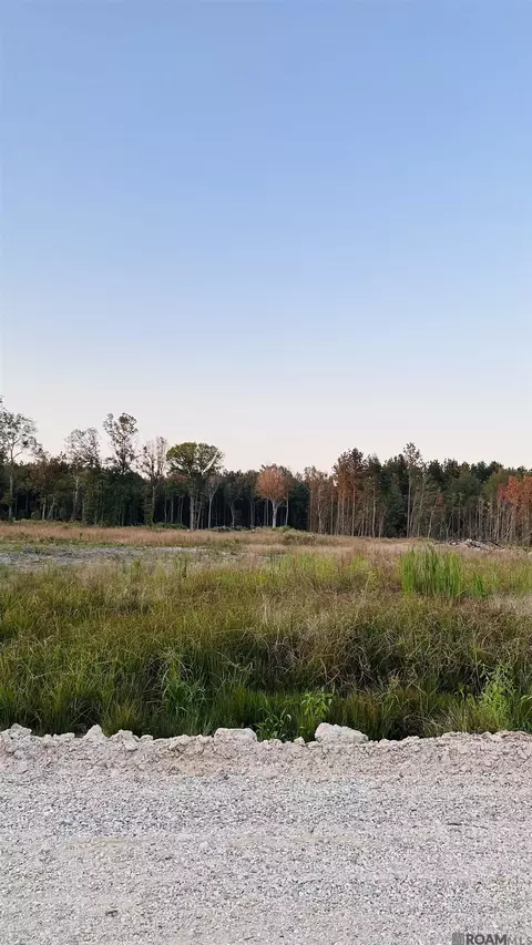 16457 Peacock Dr, Walker, LA 70785