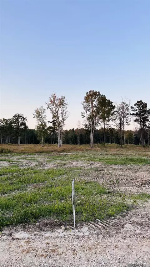 16425 Peacock Dr, Walker, LA 70785