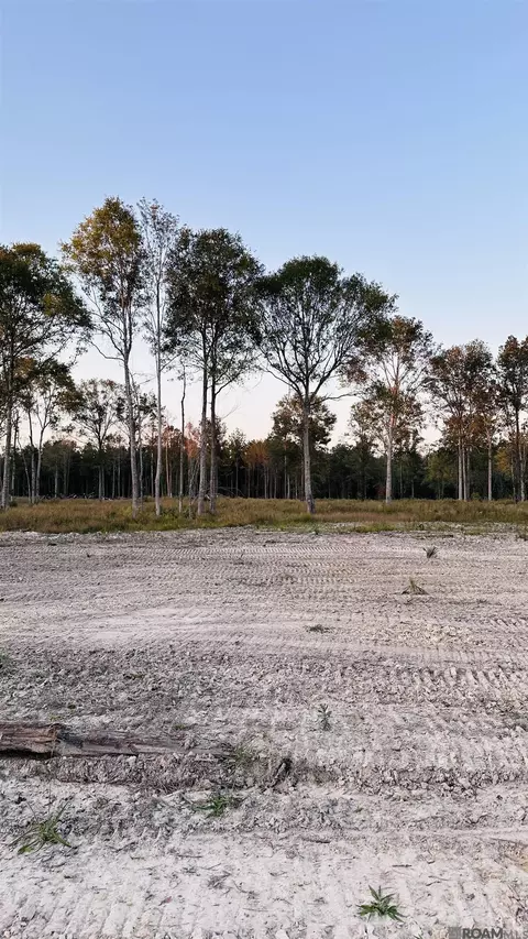 16393 Peacock Dr, Walker, LA 70785