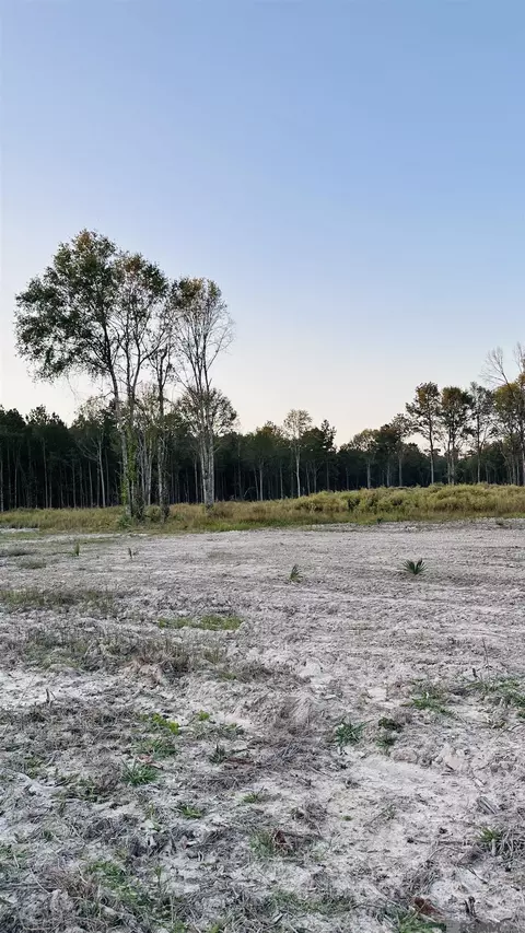 16361 Peacock Dr, Walker, LA 70785