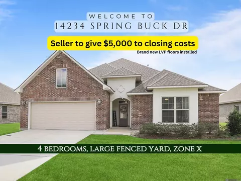 14234 Springbuck Dr, Denham Springs, LA 70726