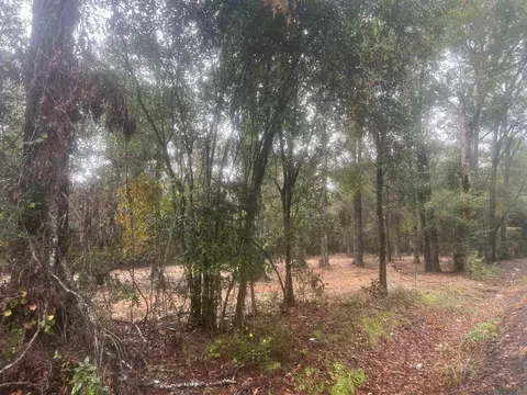 tbd State Hwy 957, Ethel, LA 70730