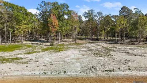 N-2-d-3 Little Azalea Drive, Zachary, LA 70791