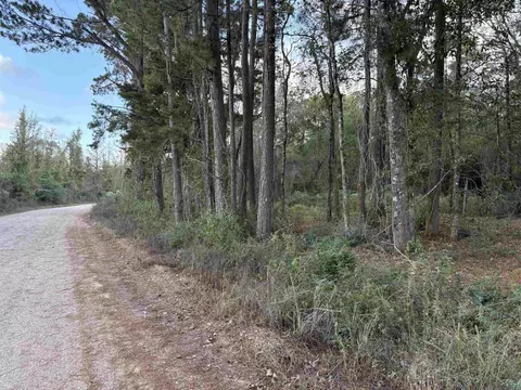 Tract Rs-17 J.h. Jenkins Ln, Denham Springs, LA 70706