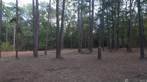 lot32 Back Ridge Rd, Amite, LA 70422