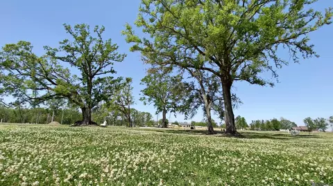 Other - 464 Sweet Grass Loop, Thibodaux, LA 70301 photo 4 of 4