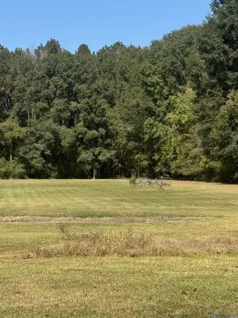 5555 Rolling Acres Dr, Baker, LA 70714 photo 4