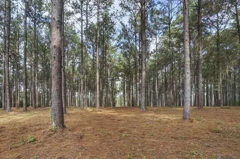80114 Rosemary Ln, Saint Francisville, LA 70775