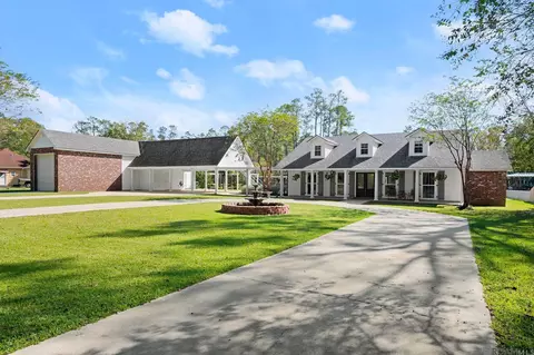 31200 River Pines Dr, Springfield, LA 70462 photo 2