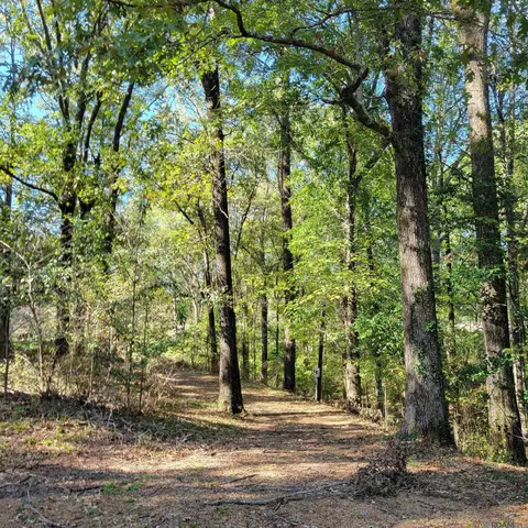 7 Heather Dr, Natchez, MS 39120 photo 6