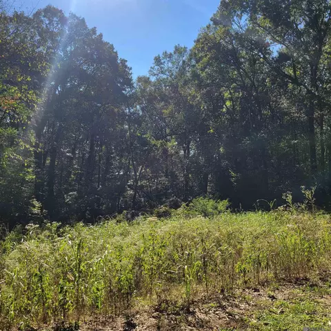 7 Heather Dr, Natchez, MS 39120 photo 9