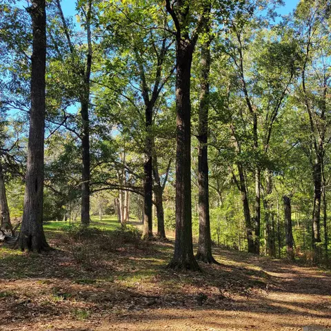 7 Heather Dr, Natchez, MS 39120 photo 4