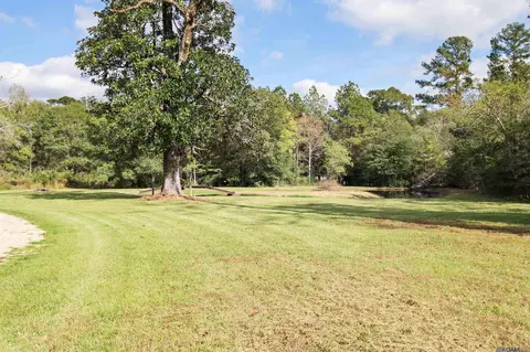 32268 Briarwood Dr, Walker, LA 70785 photo 8
