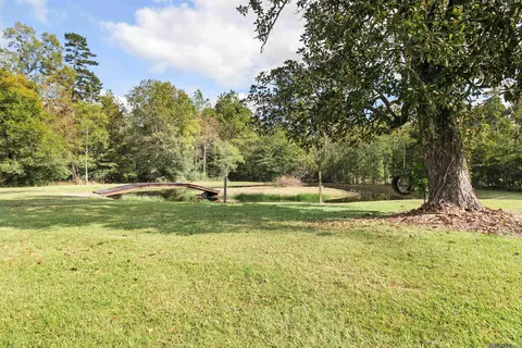 32268 Briarwood Dr, Walker, LA 70785 photo 7