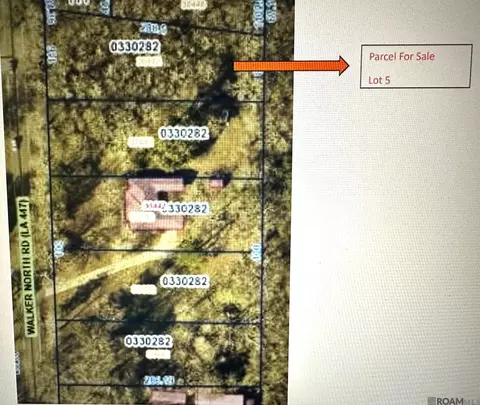 30442 Walker North Rd, Walker, LA 70785