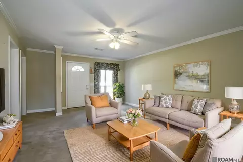 26350 Riverscape Dr, Springfield, LA 70462 photo 9