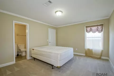 26350 Riverscape Dr, Springfield, LA 70462 photo 24