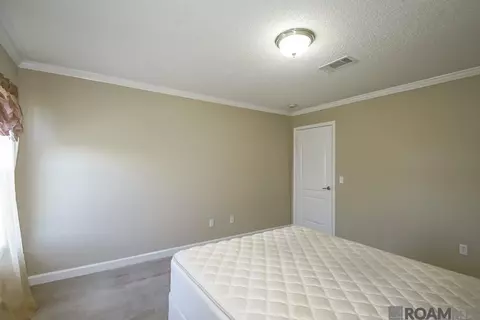26350 Riverscape Dr, Springfield, LA 70462 photo 25
