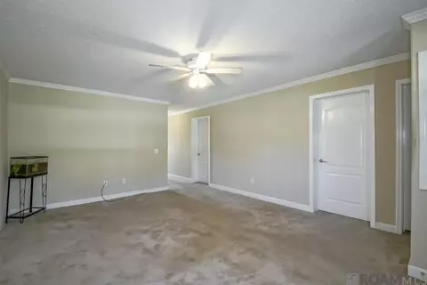26350 Riverscape Dr, Springfield, LA 70462 photo 10