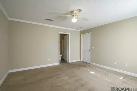 26350 Riverscape Dr, Springfield, LA 70462 photo 18