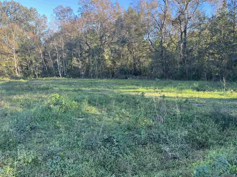1113 Holly Dr, Slaughter, LA 70777