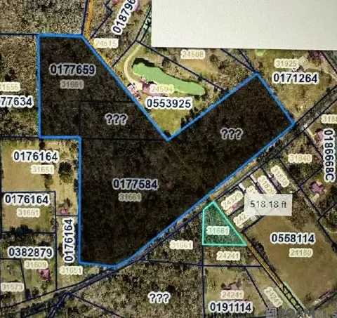 31661 Carter Cemetery Rd, Springfield, LA 70462 photo 1