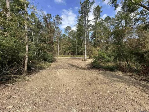 5 12 Acres White Oak Ln, Springfield, LA 70462 photo 2