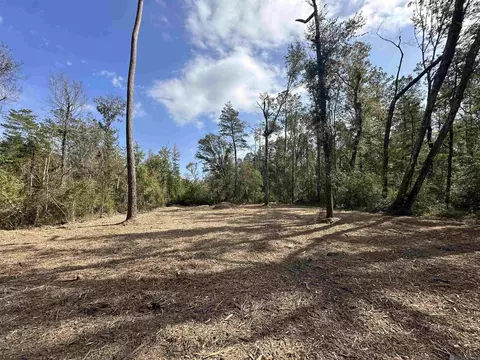 5 12 Acres White Oak Ln, Springfield, LA 70462 photo 10