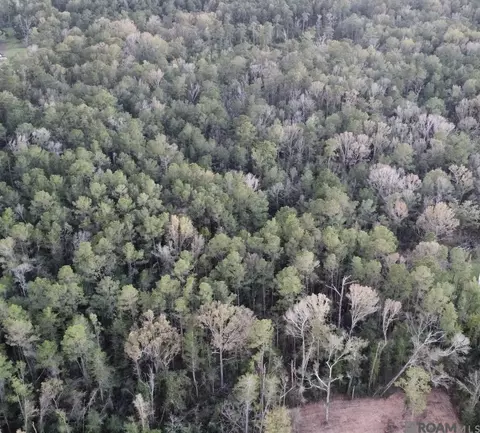 5 12 Acres White Oak Ln, Springfield, LA 70462 photo 20