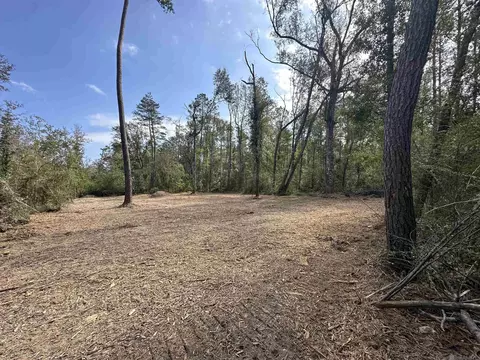 5 12 Acres White Oak Ln, Springfield, LA 70462
