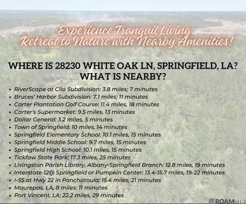 5 12 Acres White Oak Ln, Springfield, LA 70462 photo 14