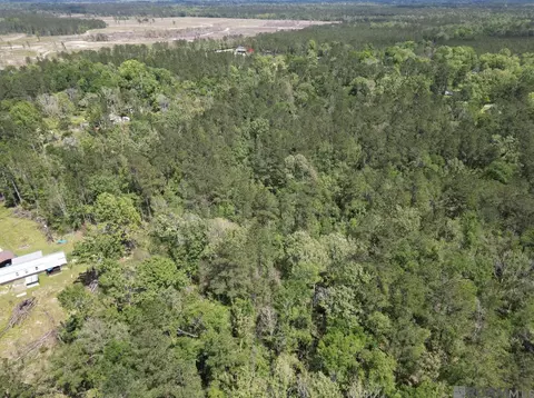 5 12 Acres White Oak Ln, Springfield, LA 70462 photo 17