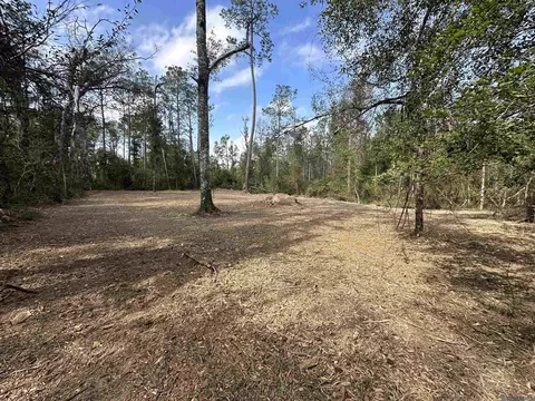 5 12 Acres White Oak Ln, Springfield, LA 70462 photo 5