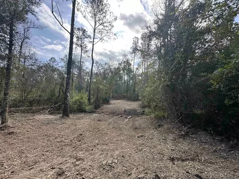 5 12 Acres White Oak Ln, Springfield, LA 70462 photo 4