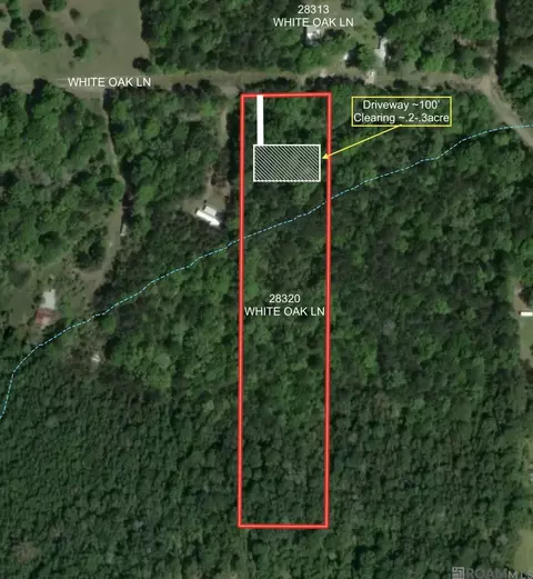 5 12 Acres White Oak Ln, Springfield, LA 70462 photo 11