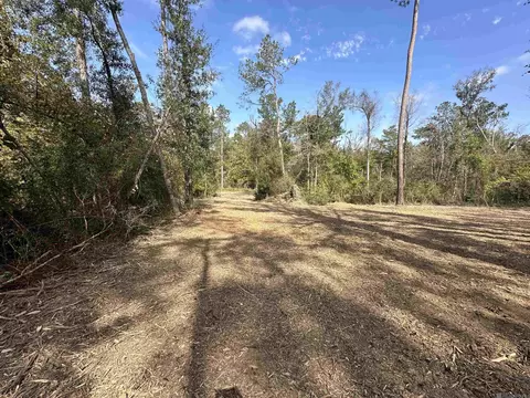 5 12 Acres White Oak Ln, Springfield, LA 70462 photo 8