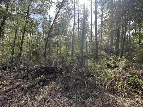 5 12 Acres White Oak Ln, Springfield, LA 70462 photo 9