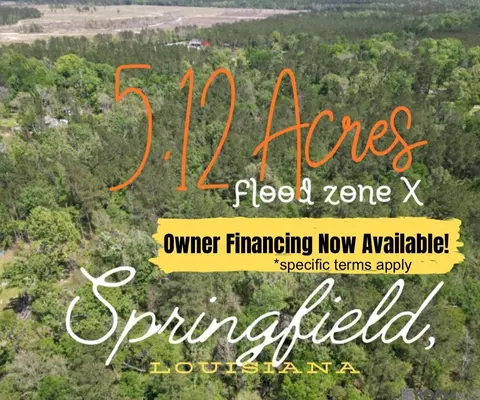 5 12 Acres White Oak Ln, Springfield, LA 70462 photo 12