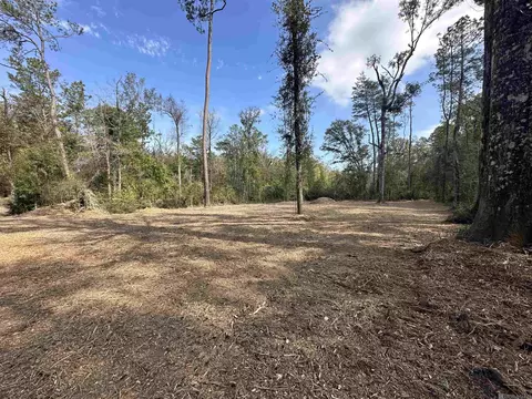 5 12 Acres White Oak Ln, Springfield, LA 70462 photo 6