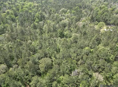 5 12 Acres White Oak Ln, Springfield, LA 70462 photo 16