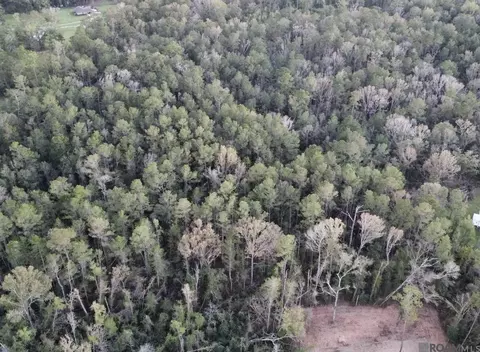 5 12 Acres White Oak Ln, Springfield, LA 70462 photo 22